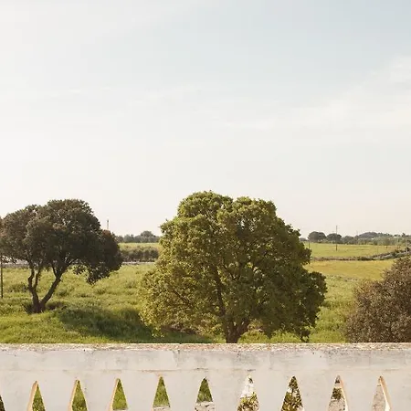 Fantastic Masseria Near Ostuni